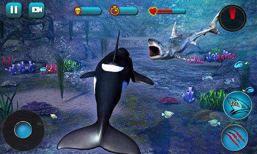Killer Whale Beach Attack 3D screenshot 5