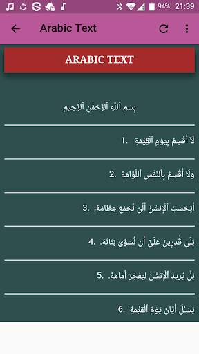 Surah Al Qiyamah Offline Mp3 4 تصوير الشاشة
