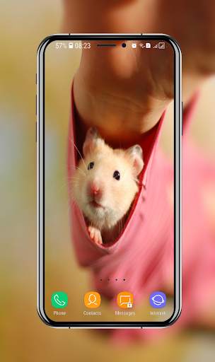 Cute Hamster Wallpaper screenshot 14