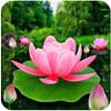 Flower Live Wallpaper 3D 1.0