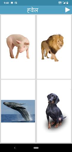 Learn Animals and Birds in Hin screenshot 3