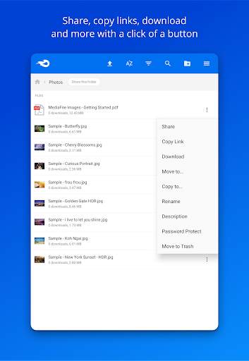 MediaFire screenshot 9