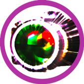 ikon Combo Camera