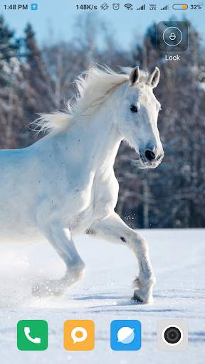 Horse Wallpaper HD screenshot 5