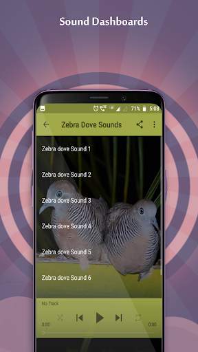 Zebra Dove Sounds screenshot 2
