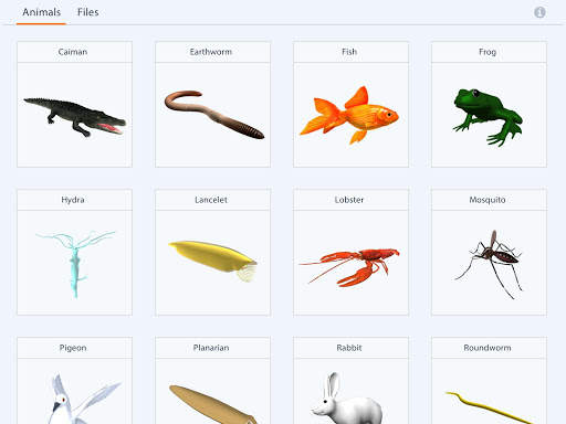 Animalia Educalabs screenshot 1