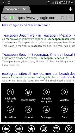 THEME METRO FOR BOAT BROWSER screenshot 3