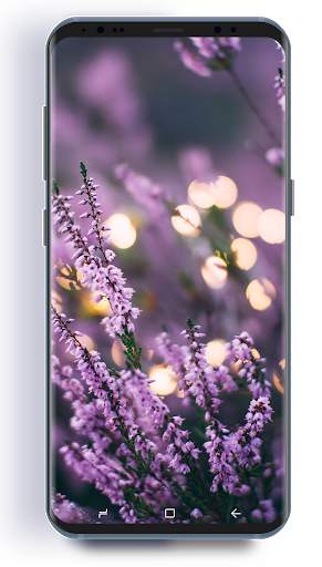 Wallpapers Garage : Free HD Wallpapers screenshot 3
