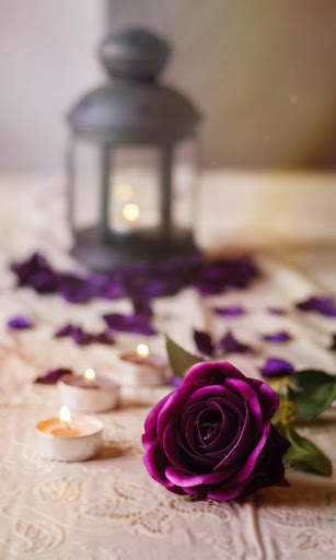 Rose Wallpapers screenshot 8