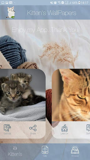 Fotos Fofas de Gatinhos para Papel de Parede screenshot 9