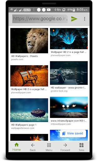 Owl Web Browser - Beta screenshot 3