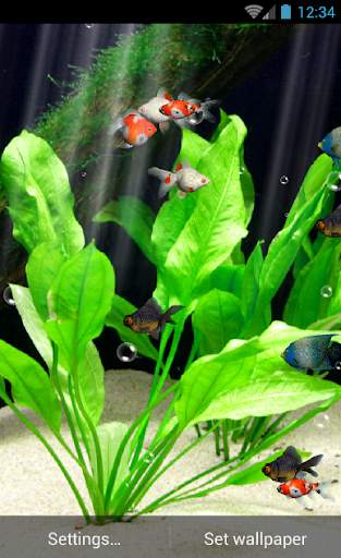 Aquarium Live Wallpaper screenshot 3