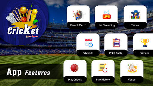 Live Cricket Score - Live Score For IPL 2021 screenshot 2