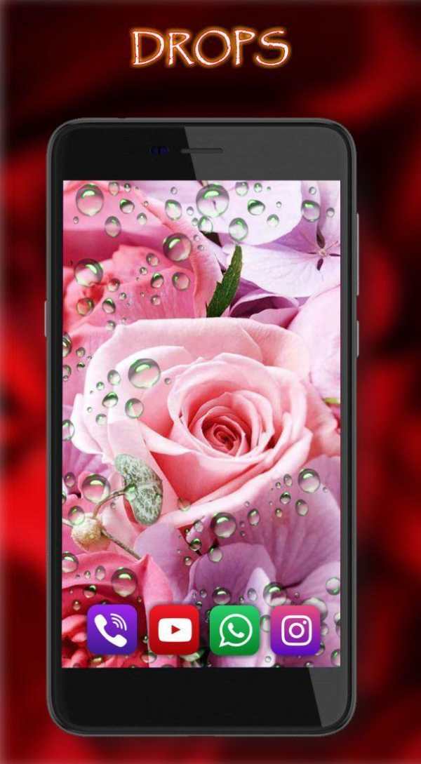 Roses Love Best LWP screenshot 3