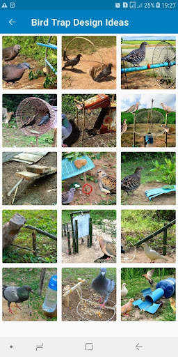 Bird Trap Design Ideas screenshot 6