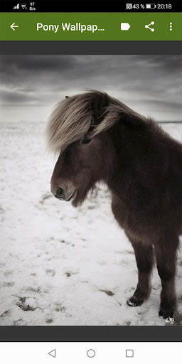 Little Pony Wallpapers screenshot 1