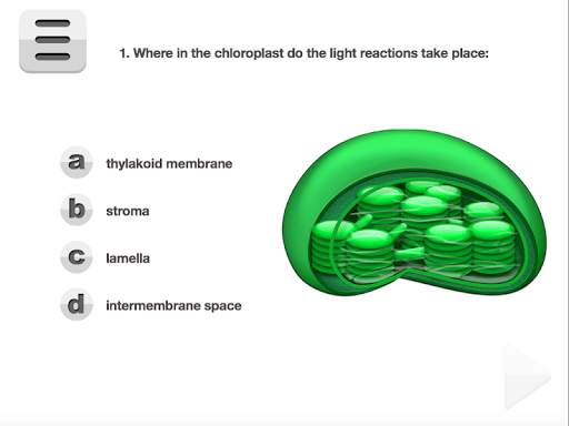 Biology Photosynthesis screenshot 11
