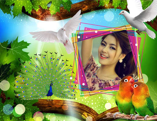 Love Birds Photo Frame screenshot 1