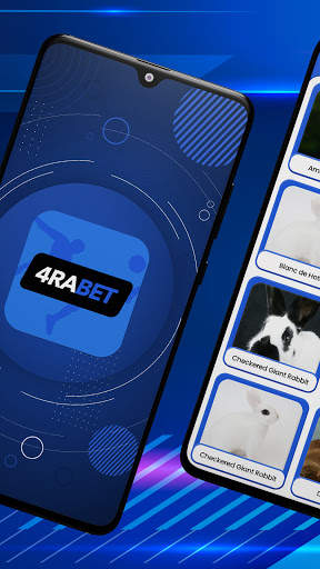 4raBet - Rabbits Guide screenshot 2