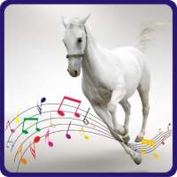 Animal Voice