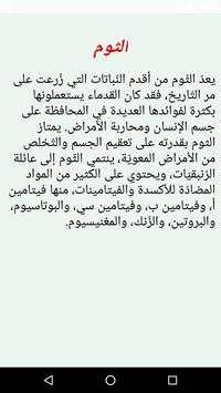فوائد الثوم مع زيت الزيتون 2 تصوير الشاشة
