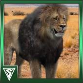 The Lion King 1.0