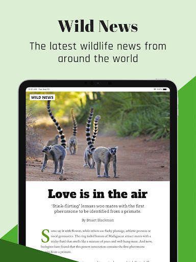 BBC Wildlife Magazine screenshot 14
