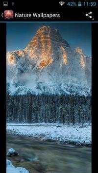 Nature Wallpapers screenshot 4