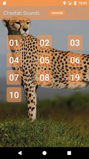 Cheetah (Animal) Sounds screenshot 1