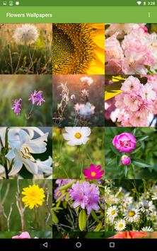 Flowers Wallpapers screenshot 5