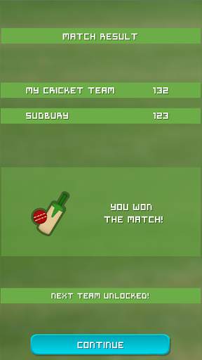 Village Cricket screenshot 5