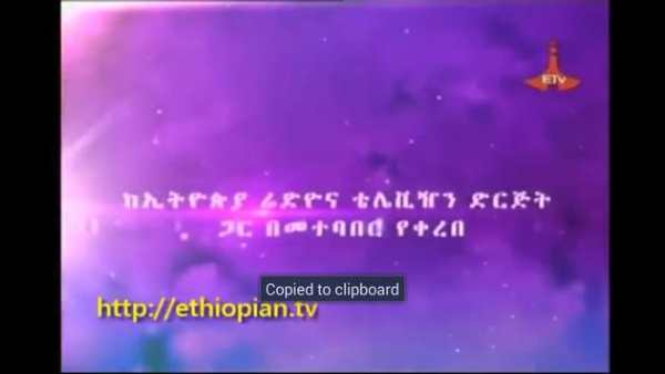 ETHIOPIA TV FREE screenshot 9