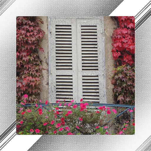 Window Photo Frames icon