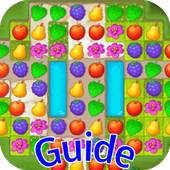 Guide to Gardenscapes 1.1