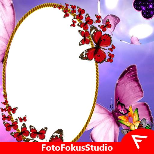 Butterfly Insta DP 3.0