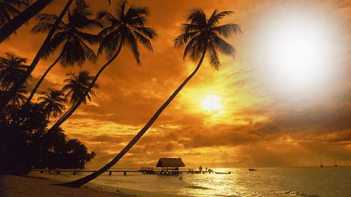 Beautiful Sunset Photo Frame 1 تصوير الشاشة