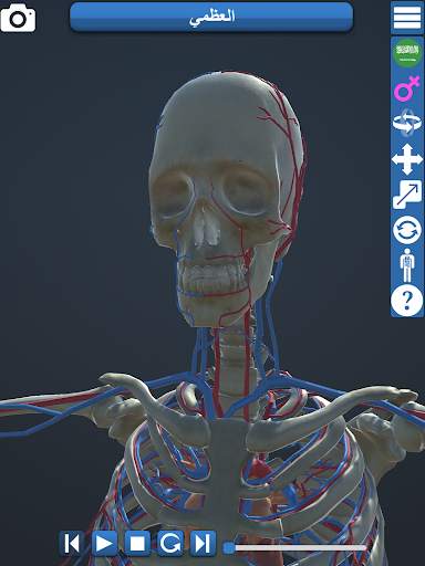 Anatomy 3D screenshot 3