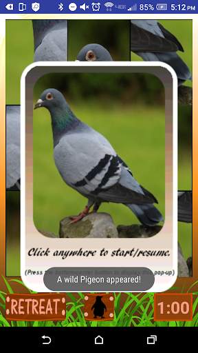 Safari World screenshot 3
