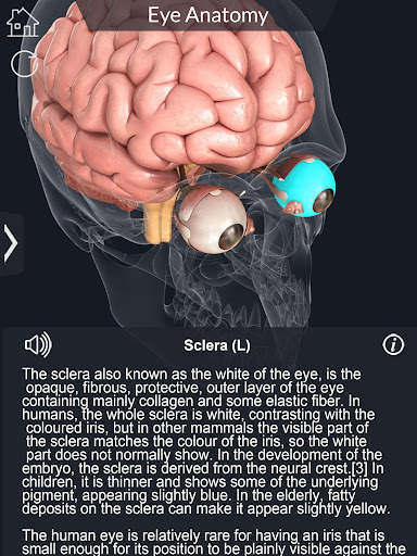 My Eye Anatomy screenshot 6