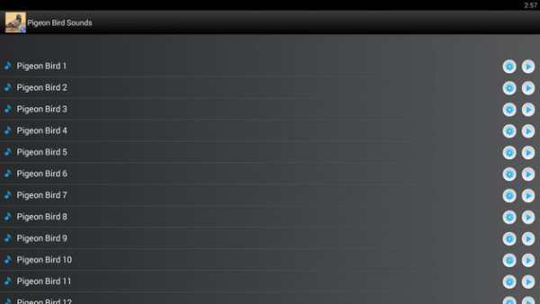Pigeon Bird Sounds Ringtones screenshot 5