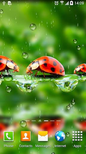 Rain Live Wallpaper screenshot 4