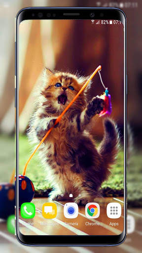 Cats Live Wallpaper screenshot 1