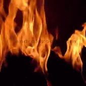 FireFlames LiveWallpaper أيقونة