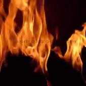 FireFlames LiveWallpaper on 9Apps
