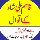 Qasim Ali Shah Quotes icon
