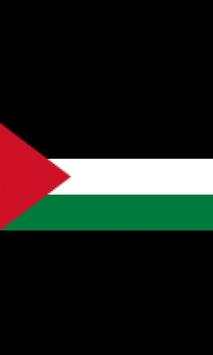 Wallpaper Palestine screenshot 1