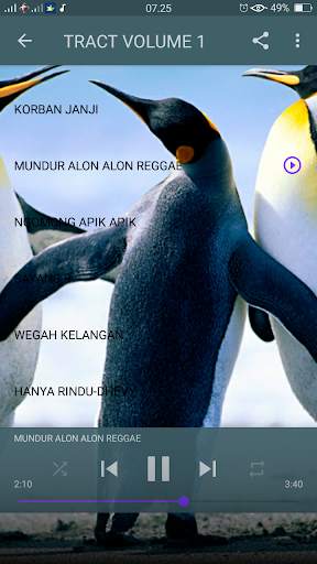 Dhevy Geranium Reggae Cover - Offline screenshot 3
