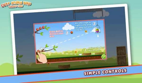 Cute Angry Bird : Eggs screenshot 12