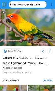 Fast Web Browser screenshot 1
