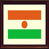TV Niger Info channel logo